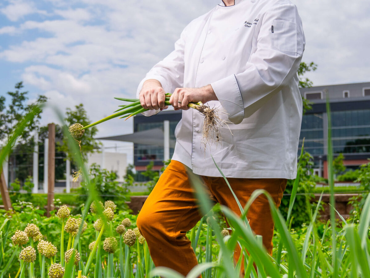 Stable Gray Photography