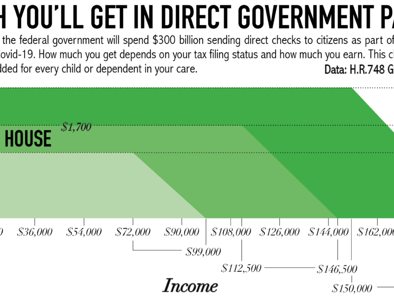graphic about government checks