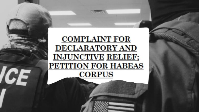 Petitions for habeas corpus, a civil lawsuit to challenge unlawful detention, have skyrocketed amongst immigration detainees.