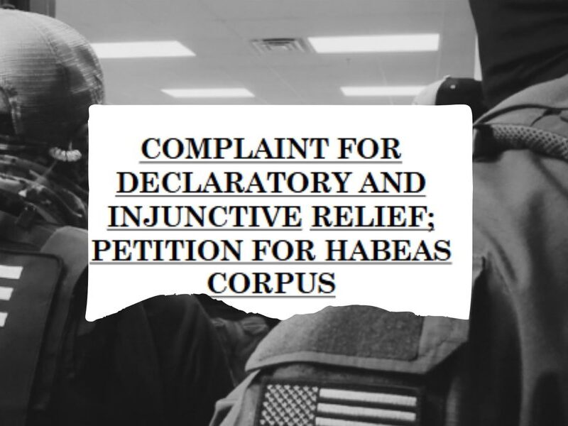 Petitions for habeas corpus, a civil lawsuit to challenge unlawful detention, have skyrocketed amongst immigration detainees.