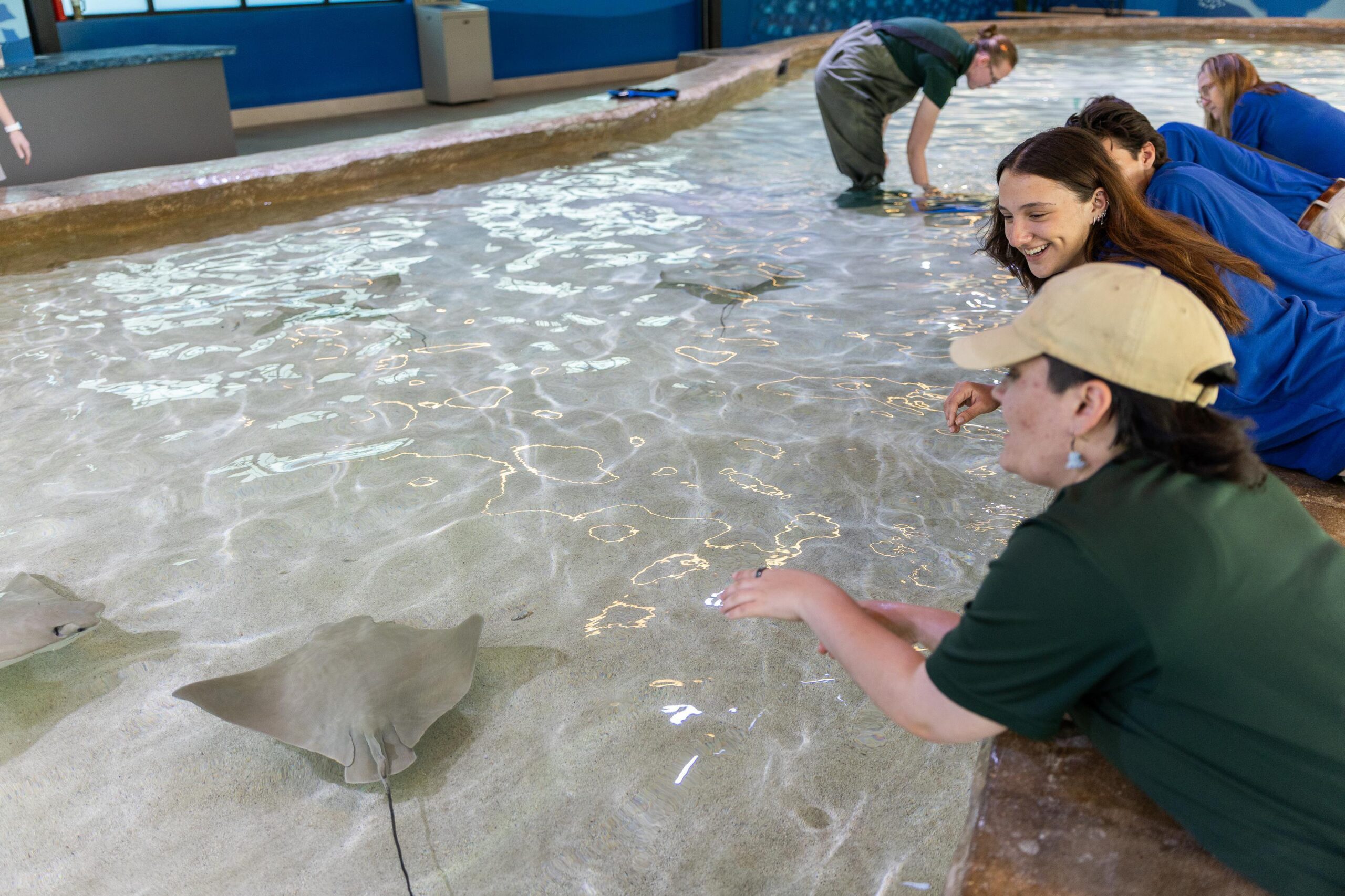 Stingray Beach reopens at Omaha’s Henry Doorly Zoo after renovations