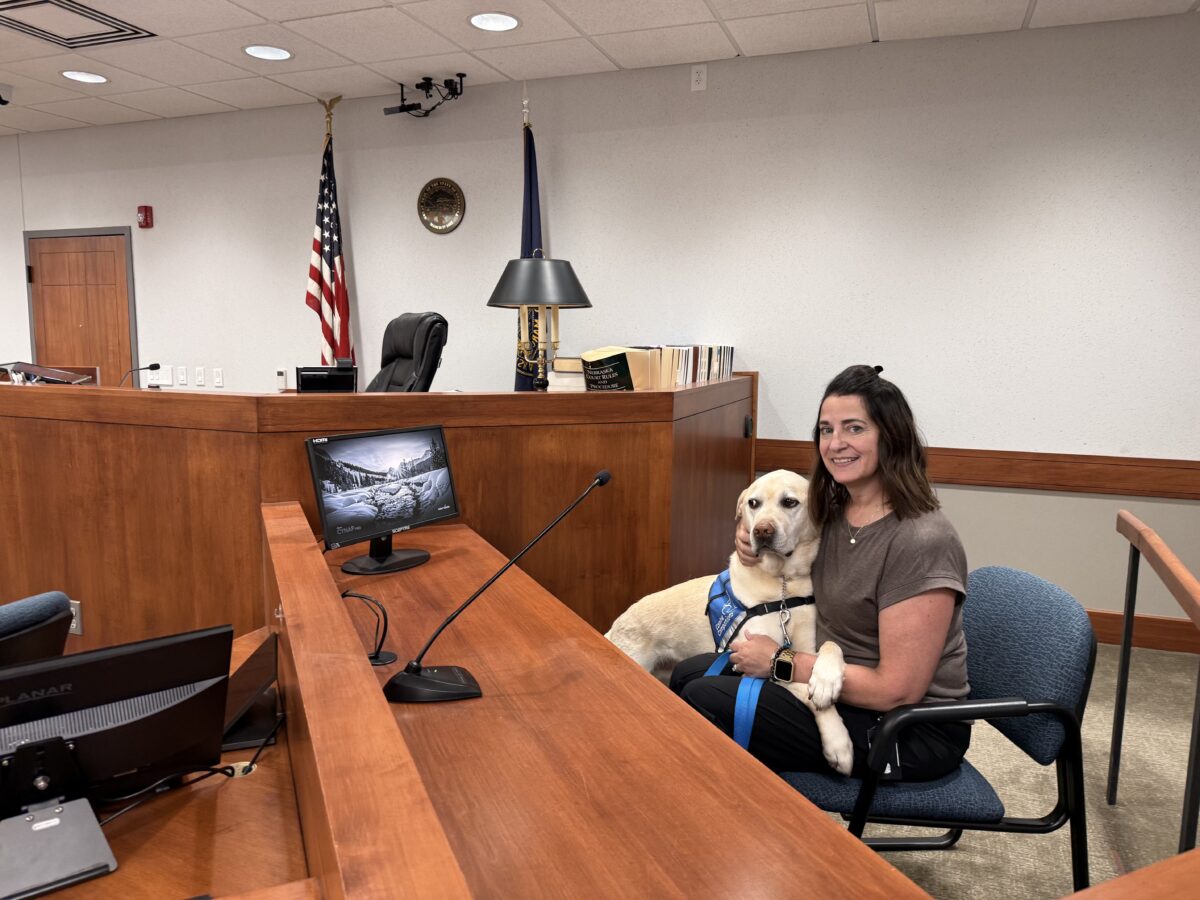 K-9 comfort: How a pair of golden labs help support crime victims in Sarpy and Douglas county courtrooms
