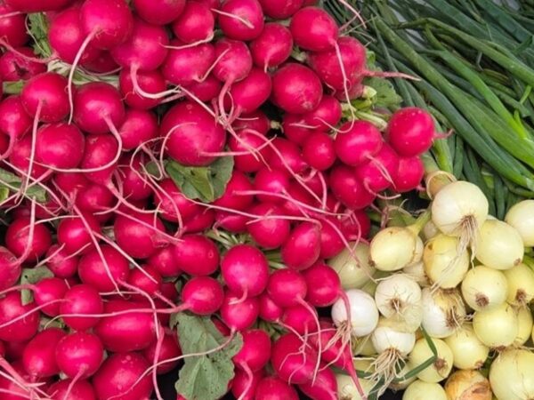 Omaha Farmers Market connects growers and artisans to the community