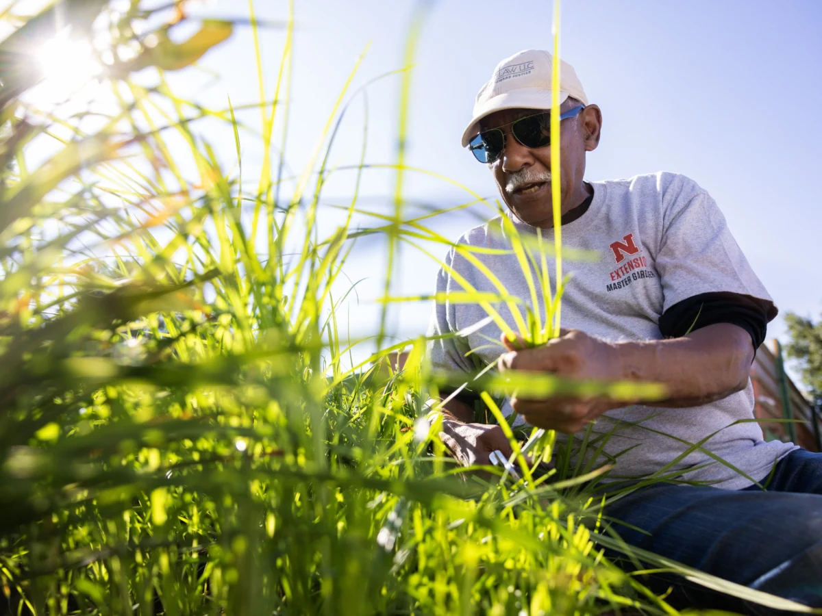 An 82-year-old master gardener is leading an effort to make South Omaha’s 24th Street bloom again