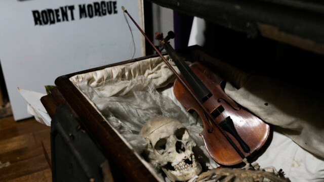 Voodoo's Odd Shop on Sept. 15, 2022. Photo by Chris Bowling