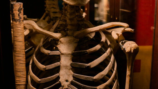 Voodoo's Odd Shop on Sept. 15, 2022. Photo by Chris Bowling