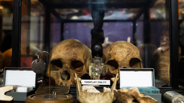 Voodoo's Odd Shop on Sept. 15, 2022. Photo by Chris Bowling