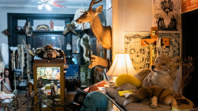 Voodoo's Odd Shop on Sept. 15, 2022. Photo by Chris Bowling