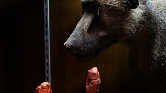 Voodoo's Odd Shop on Sept. 15, 2022. Photo by Chris Bowling