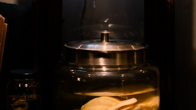 Voodoo's Odd Shop on Sept. 15, 2022. Photo by Chris Bowling